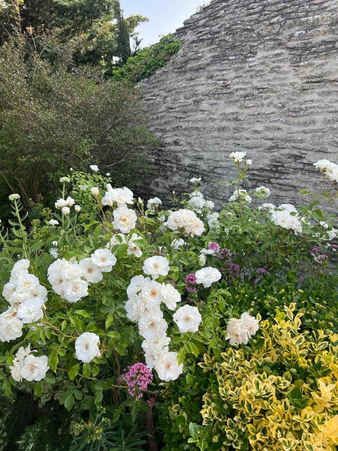 Bed and Breakfast La Borie en Provence Gordes Exterior foto