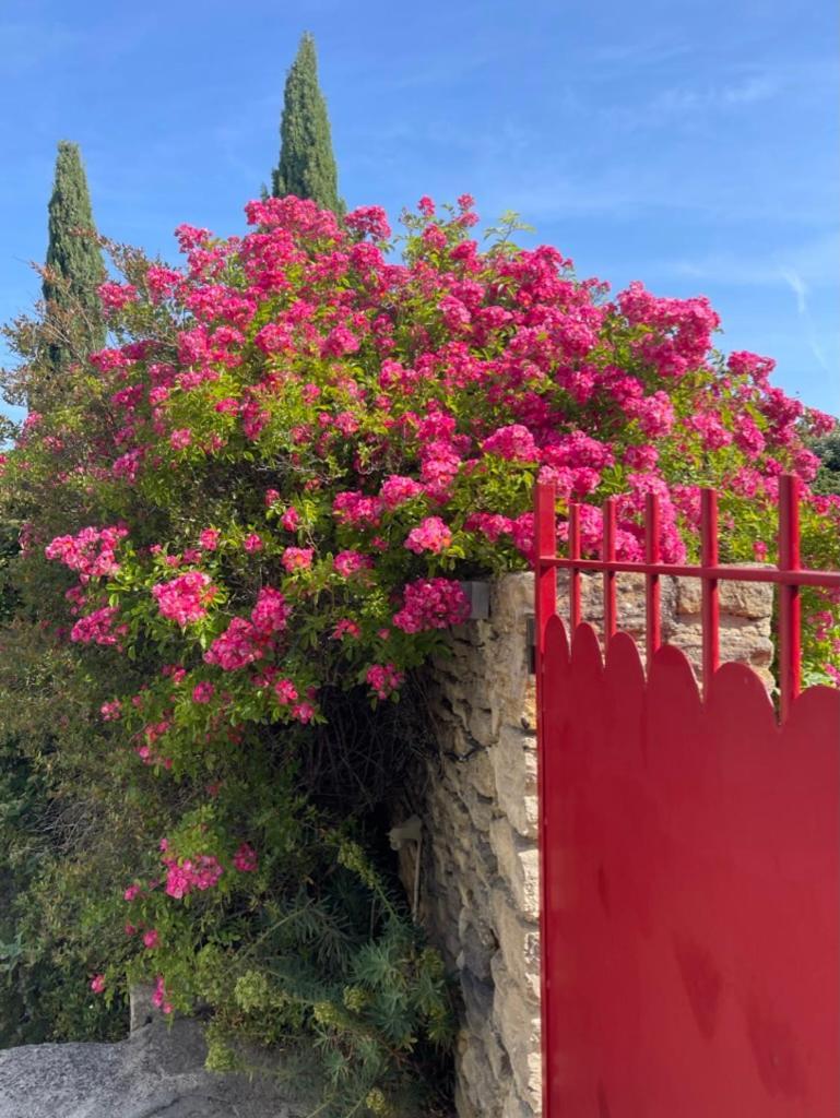 Bed and Breakfast La Borie en Provence Gordes Exterior foto