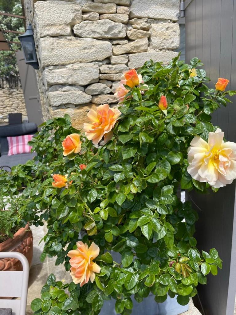 Bed and Breakfast La Borie en Provence Gordes Exterior foto
