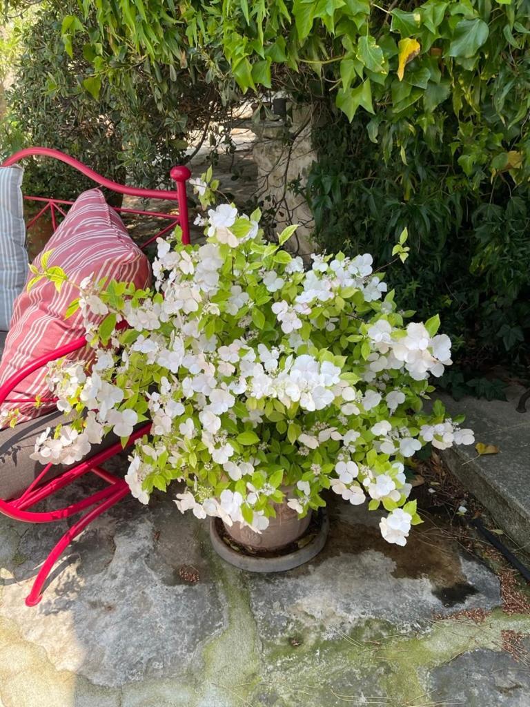Bed and Breakfast La Borie en Provence Gordes Exterior foto