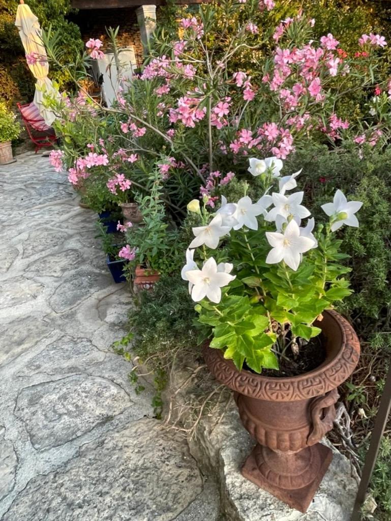 Bed and Breakfast La Borie en Provence Gordes Exterior foto