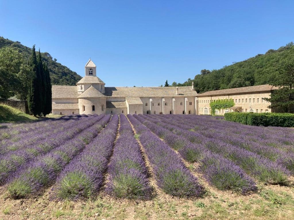 Bed and Breakfast La Borie en Provence Gordes Exterior foto