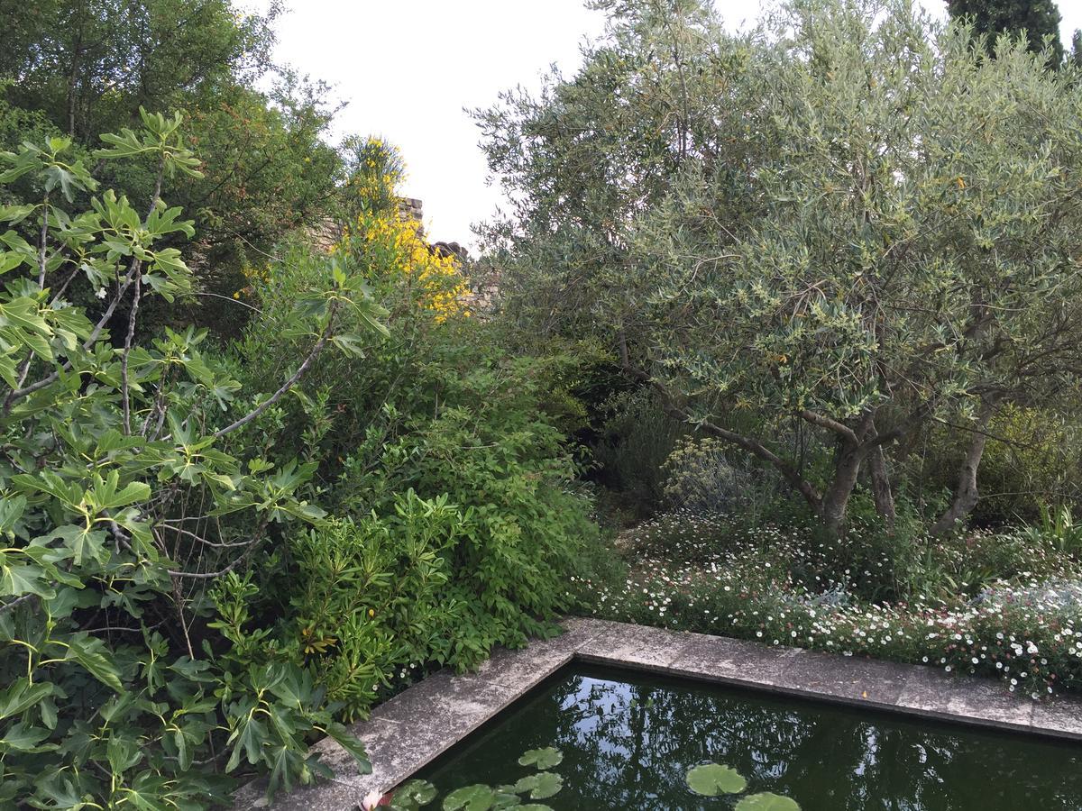 Bed and Breakfast La Borie en Provence Gordes Exterior foto
